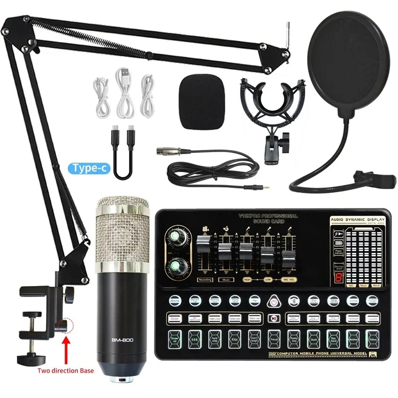 Pro Recording Mic & V10 Card