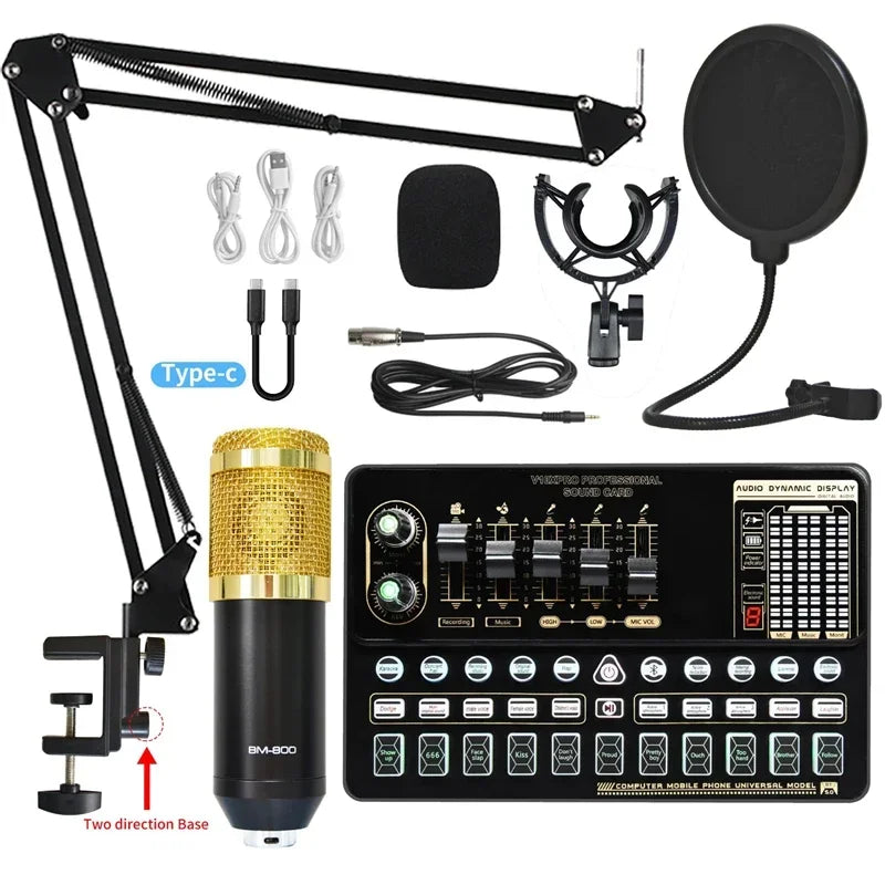 Pro Recording Mic & V10 Card